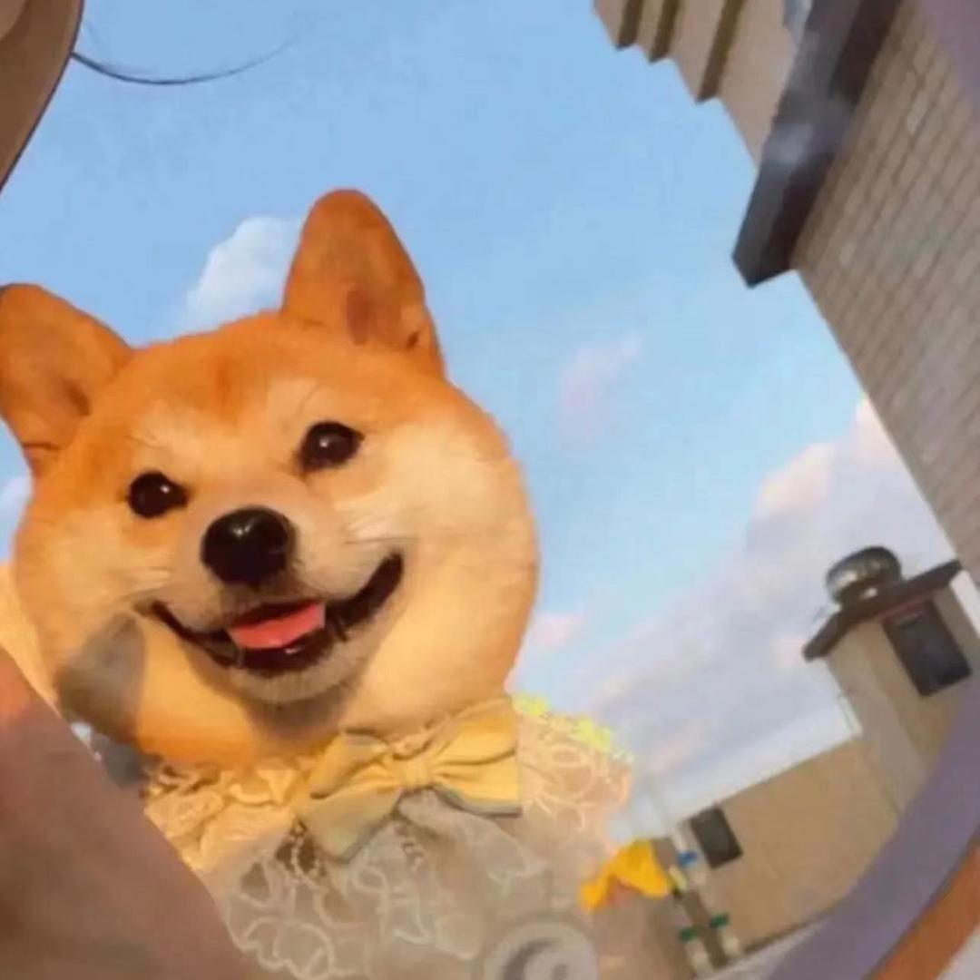 九点就睡