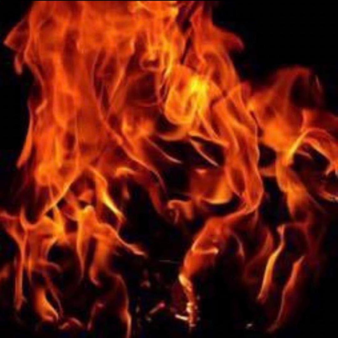 陀岗西泽店铺大号