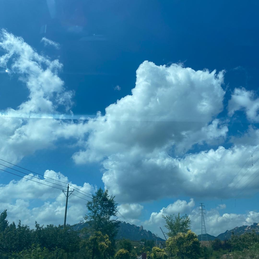 红姐优选1