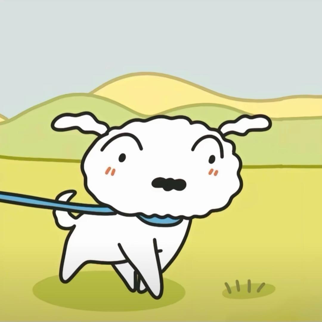 爱吃小海参的大王