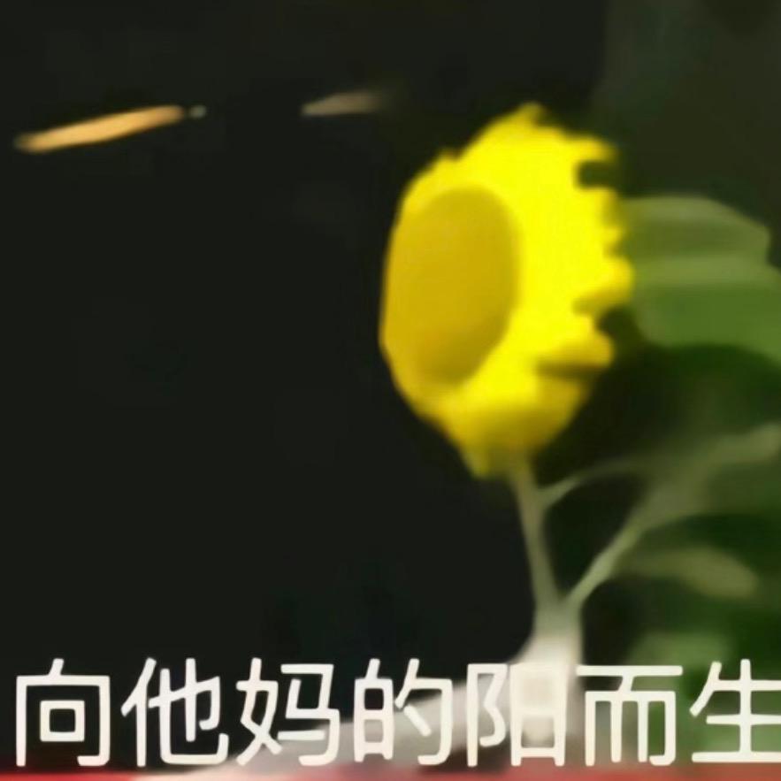 冷面杀手葵