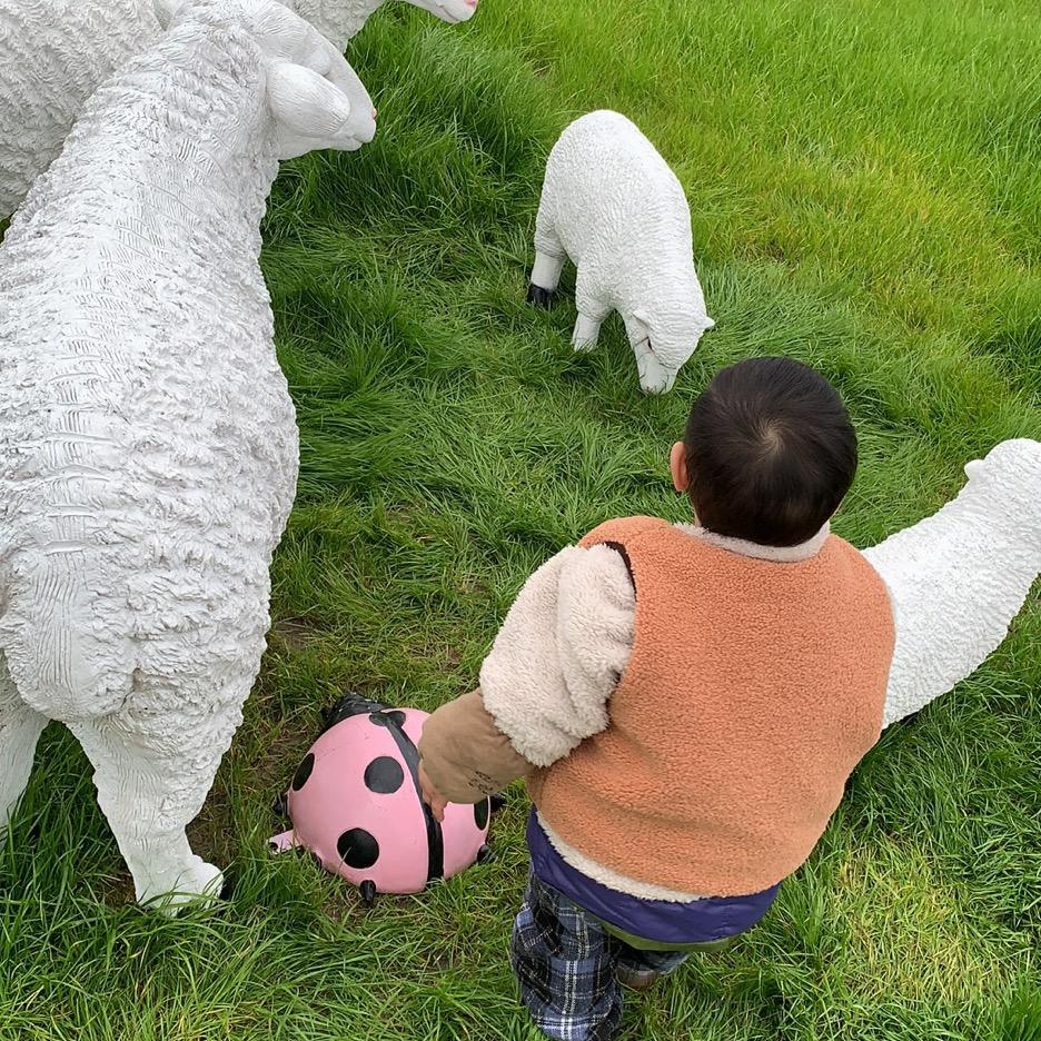 玥玥成长记（互）