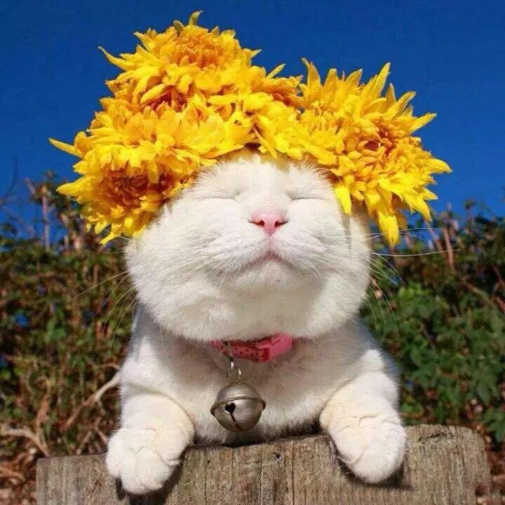 🌞🌞🌞🌞🌞🌞🌞