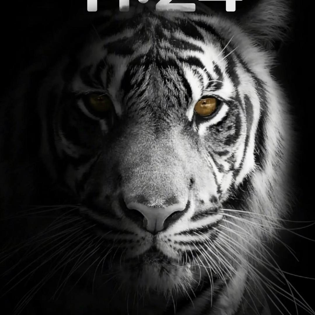 啊磊的快乐生活