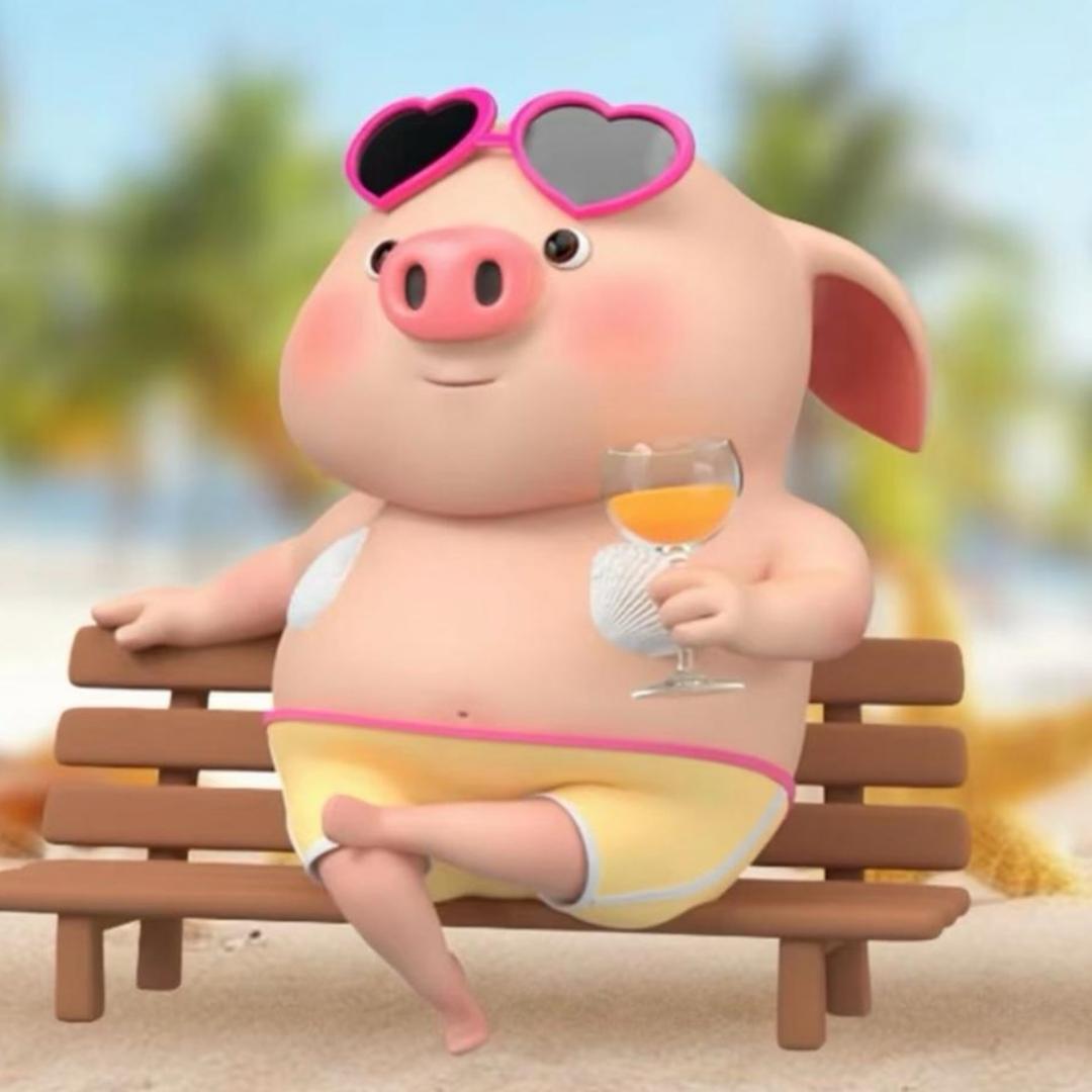 小豬仔崽(封票)