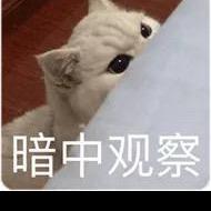 成都第一深情