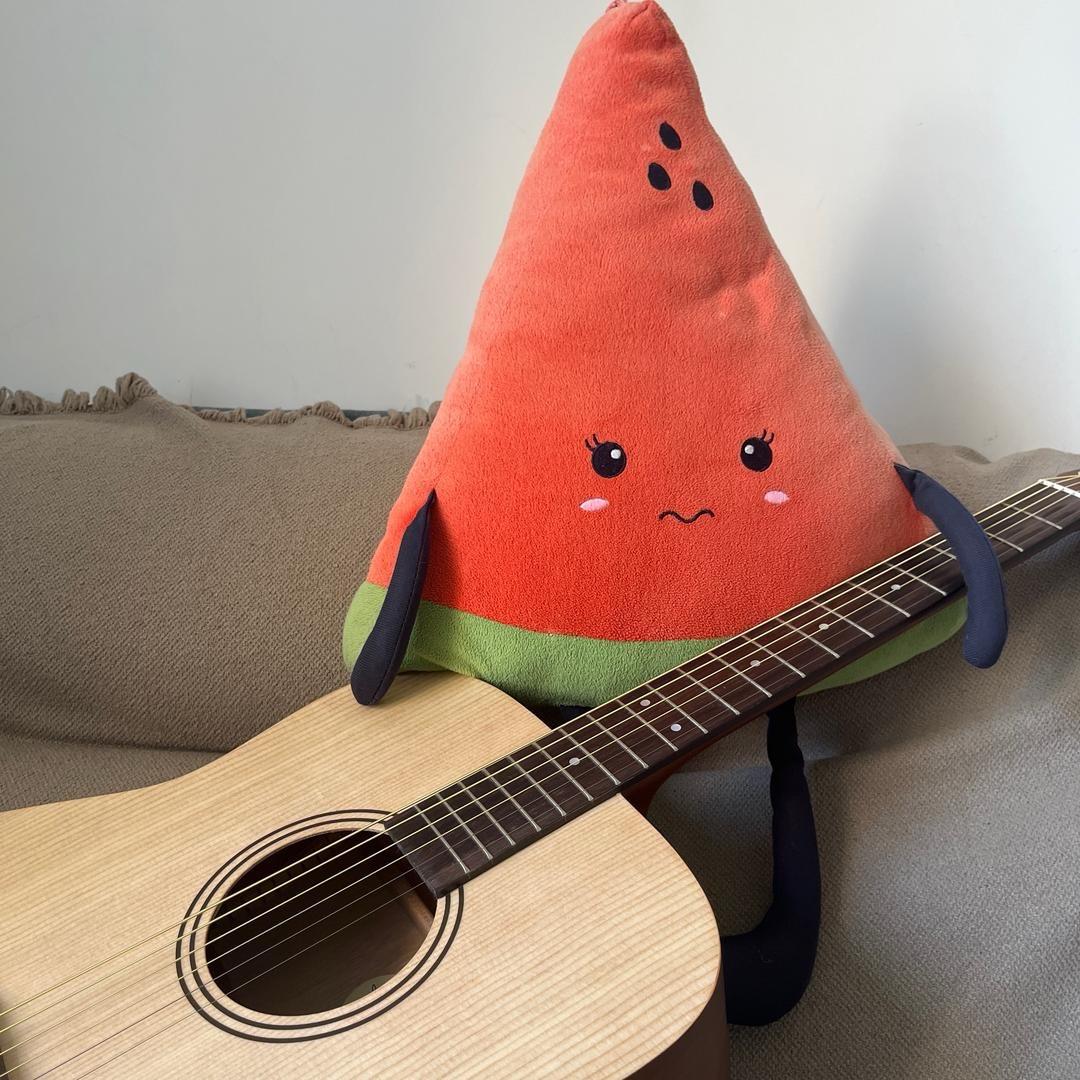 佐手学吉他（新手版）