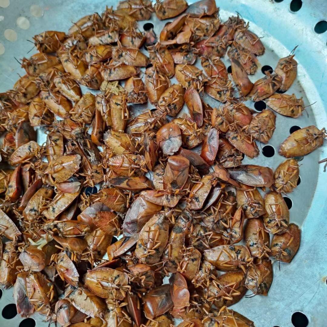 🌈仙女🧚‍♀️