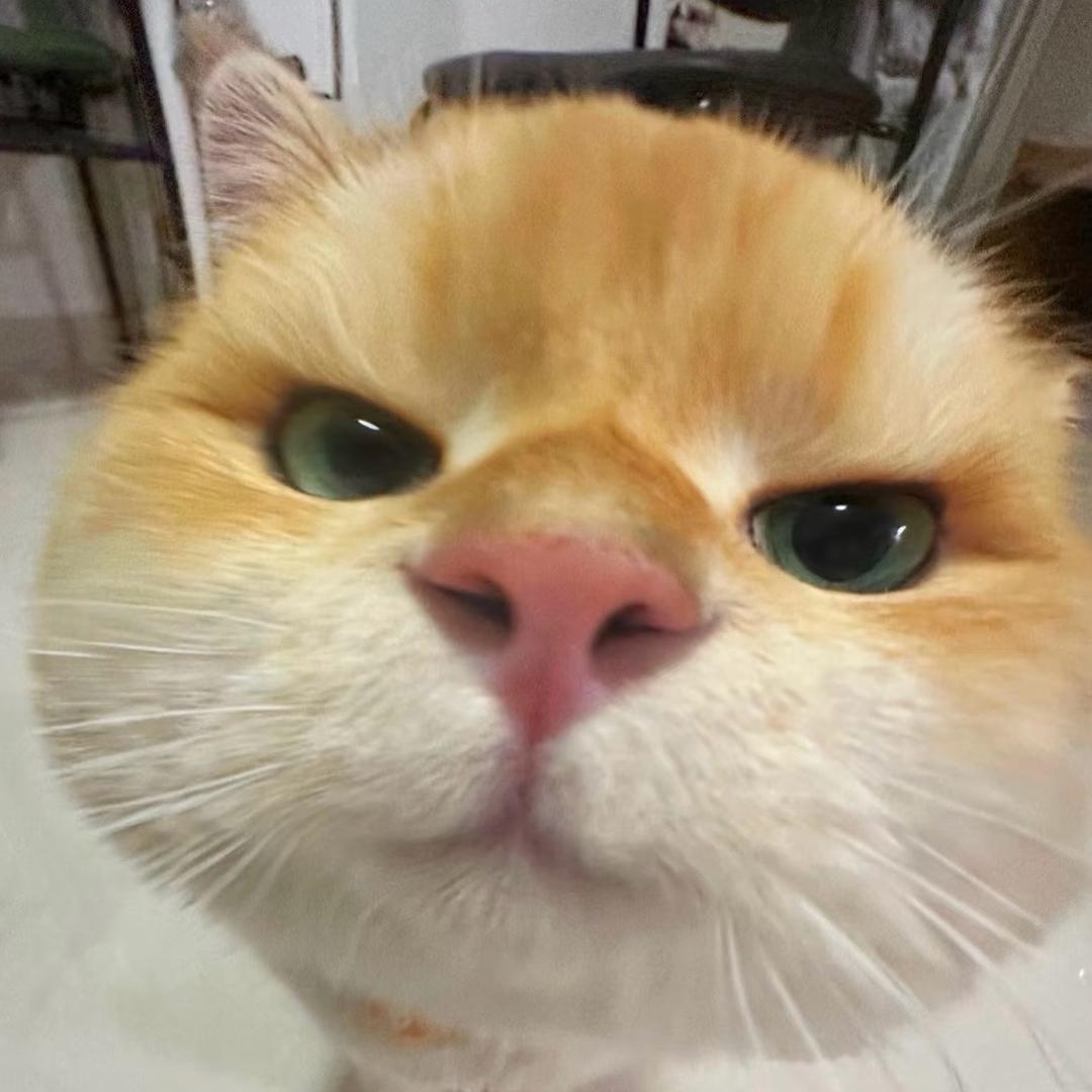 布丁
