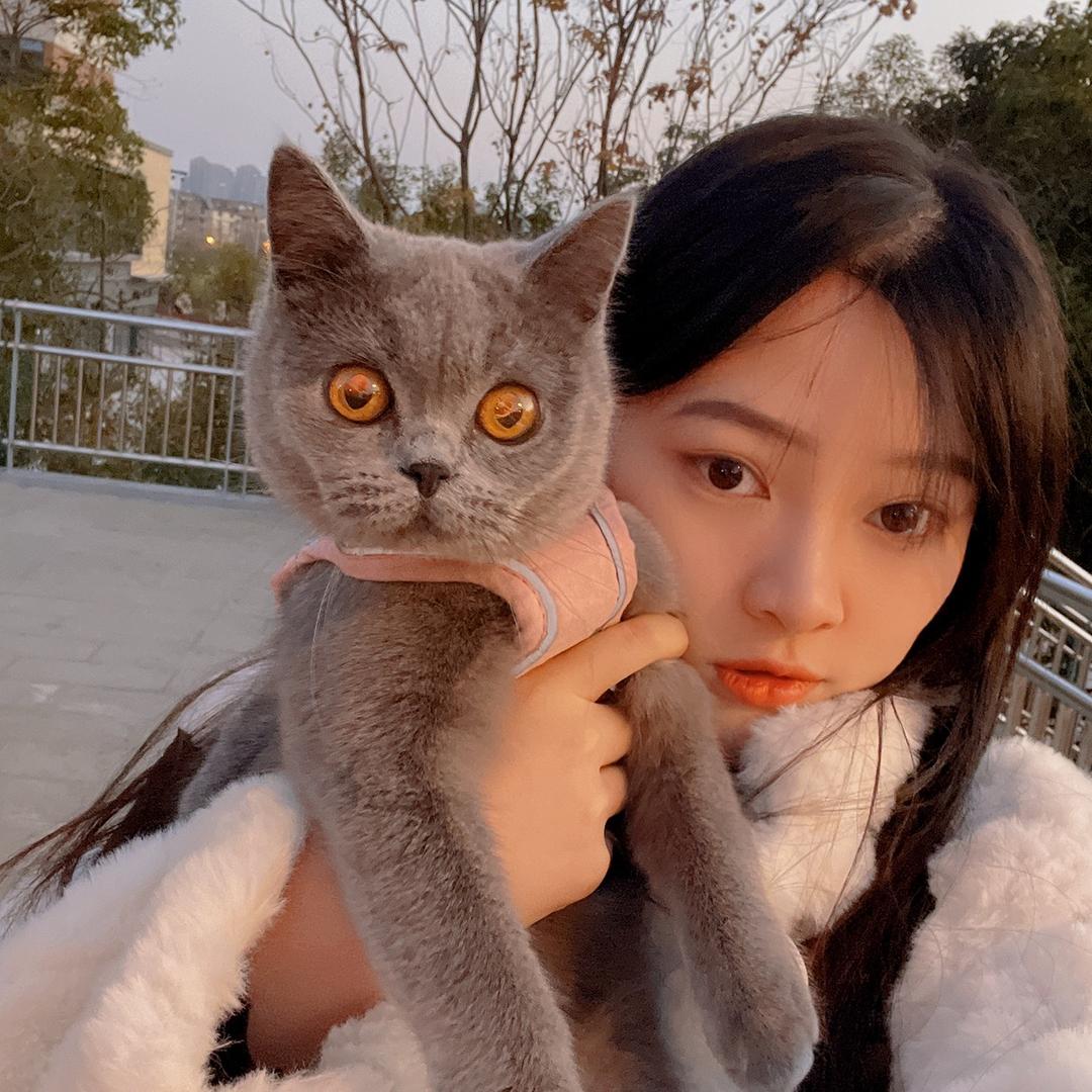 小张没烦恼🧚🏻‍♀️