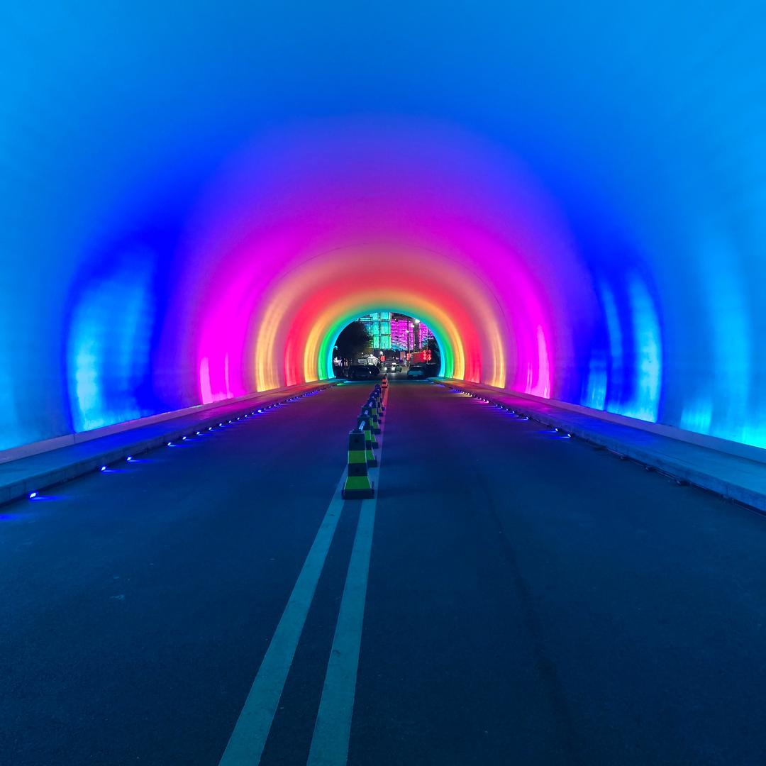 爱吃辣椒🌶蒜苗的小不点