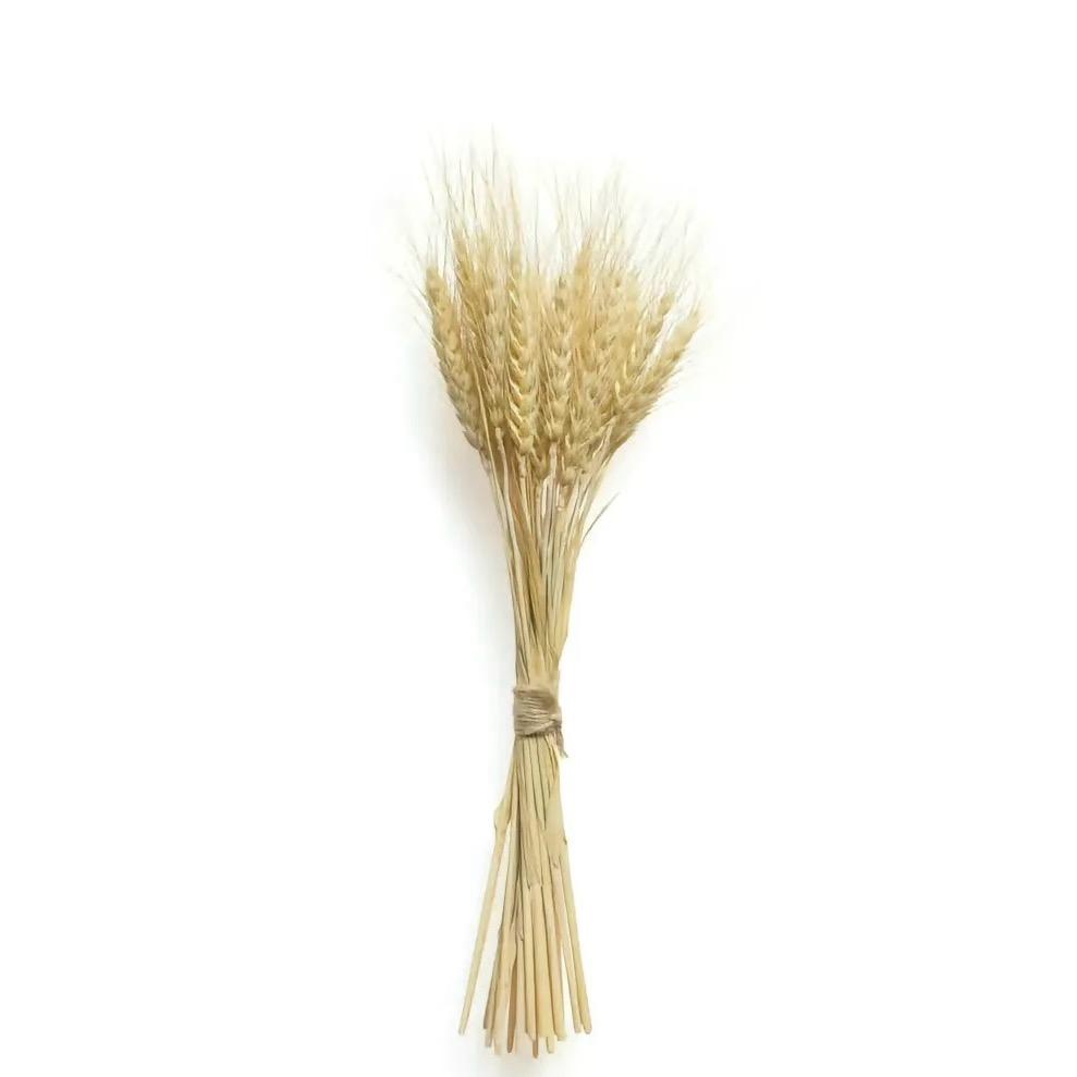 i k k k k k