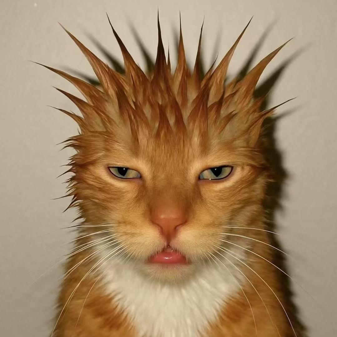 肖哈哈