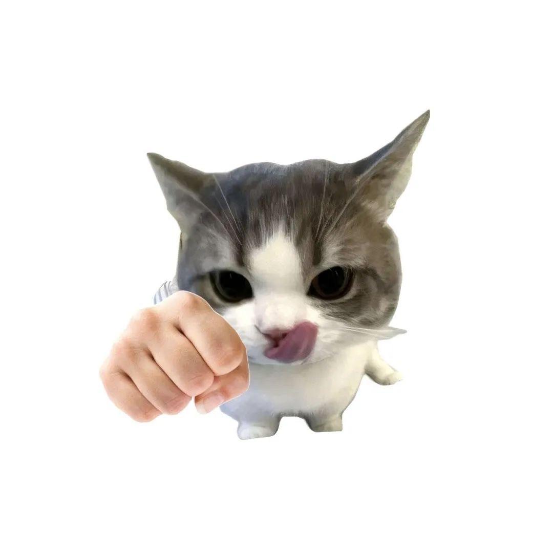 喵拳超人