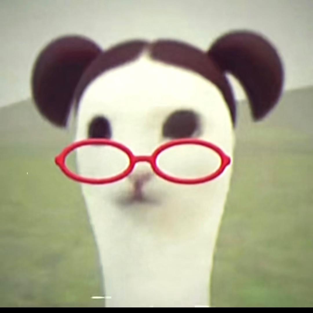 哪里出了什么问题