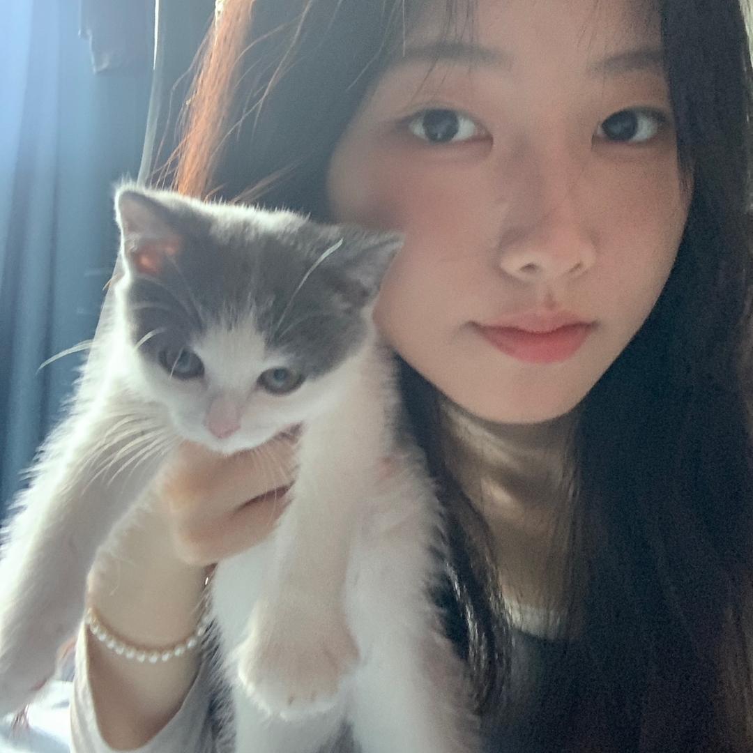 11🐈‍⬛