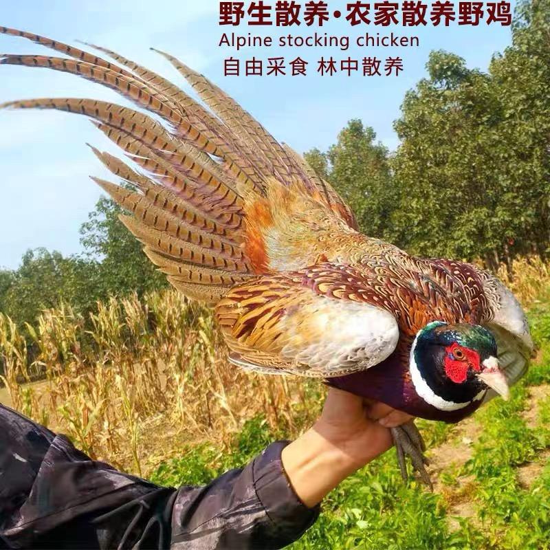 明光优选农产品