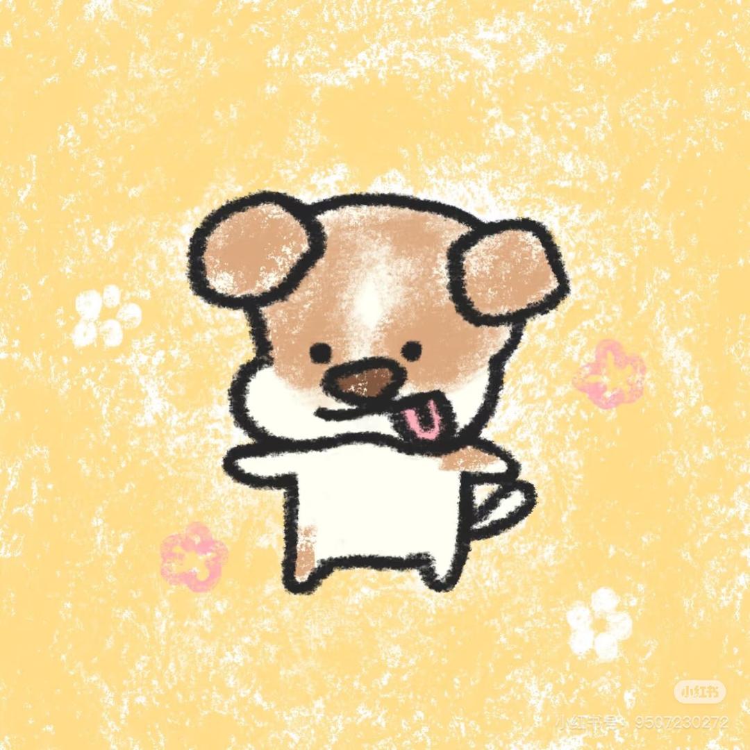 幸运小狗✨
