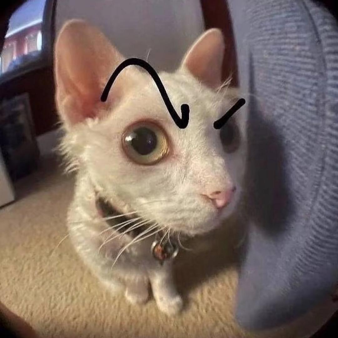 咖啡逗er