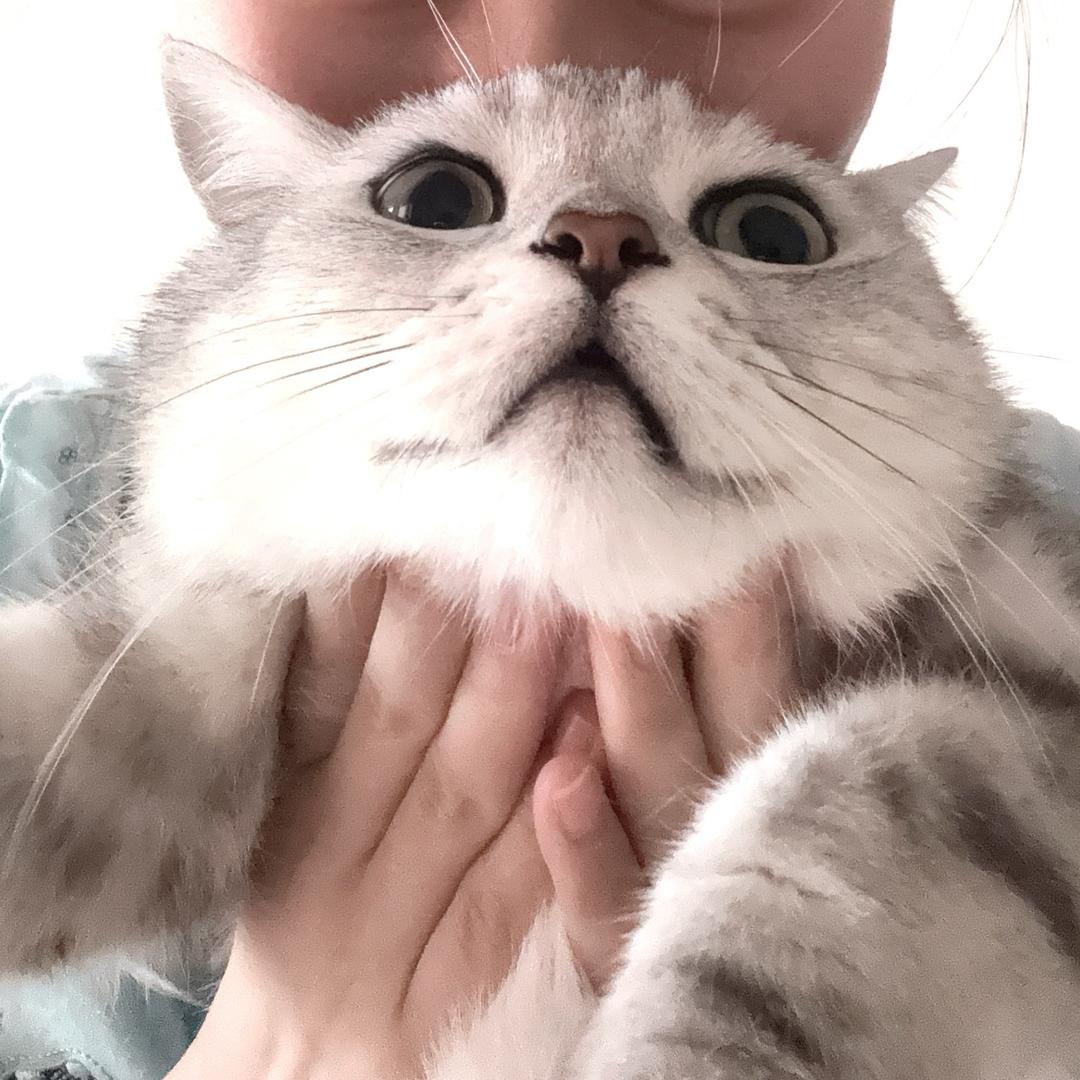 小肥的美好生活