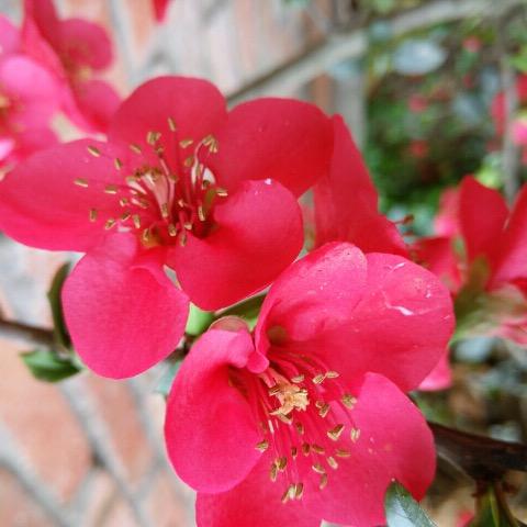 百合……拒绝私聊