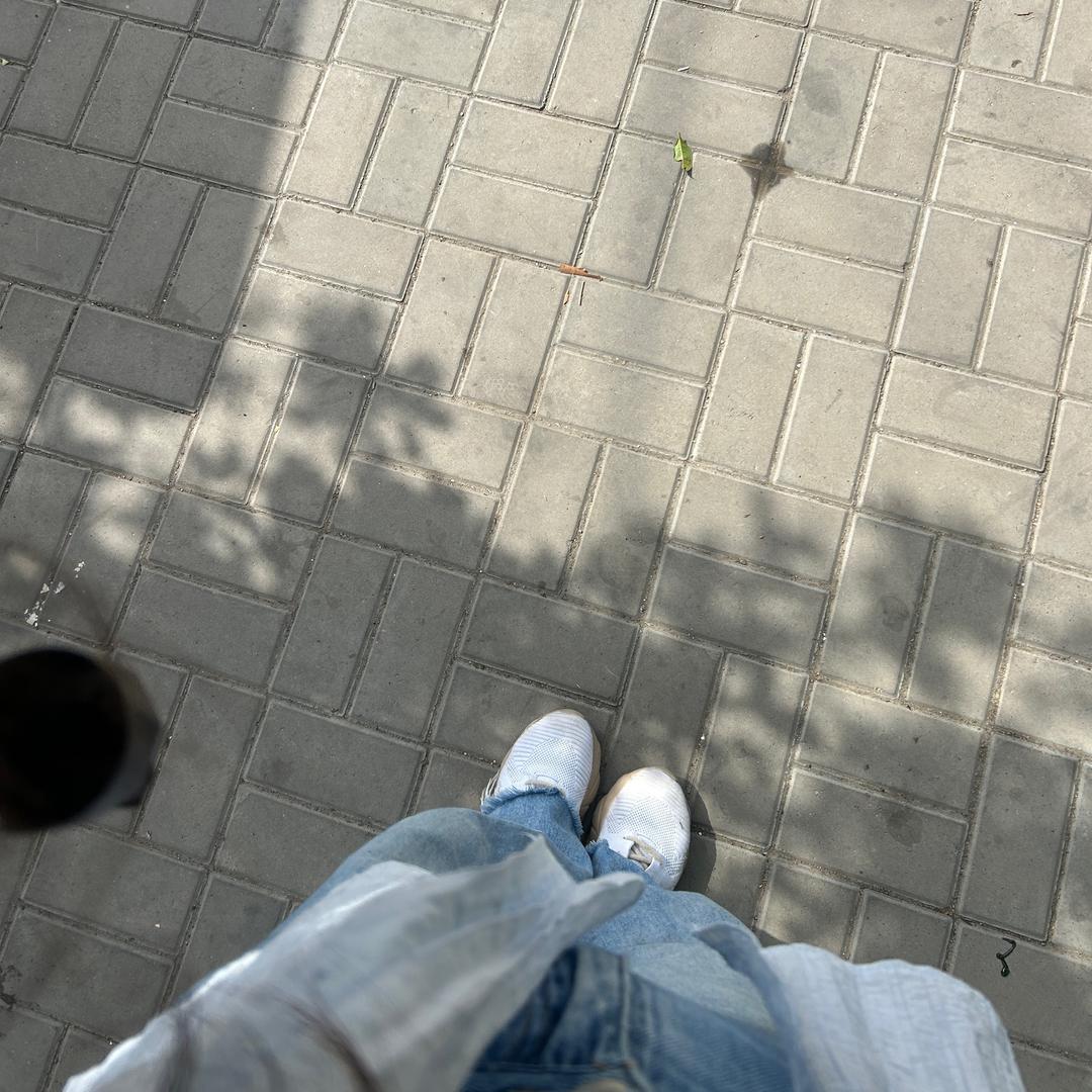 情、