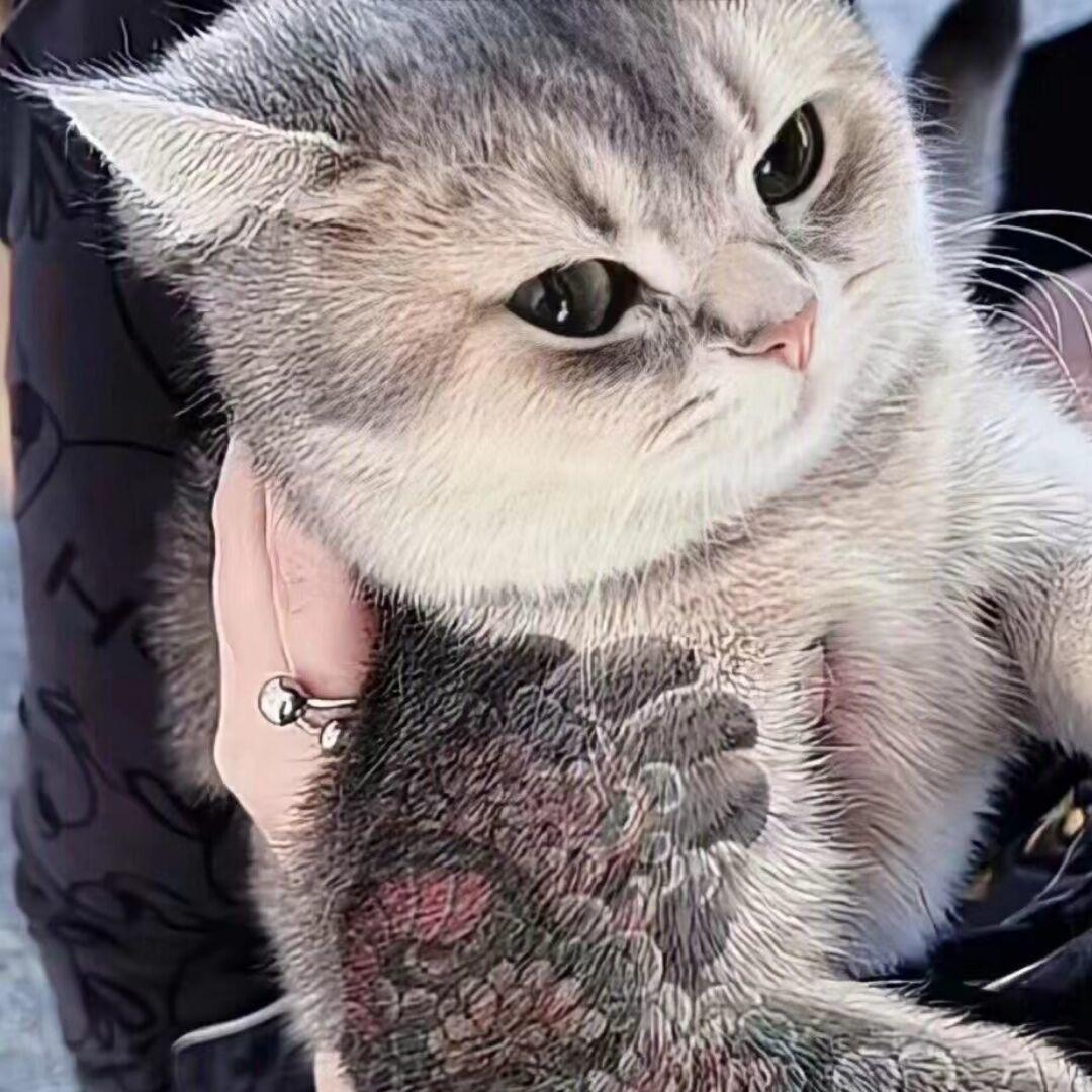 不抽香烟（努力版）