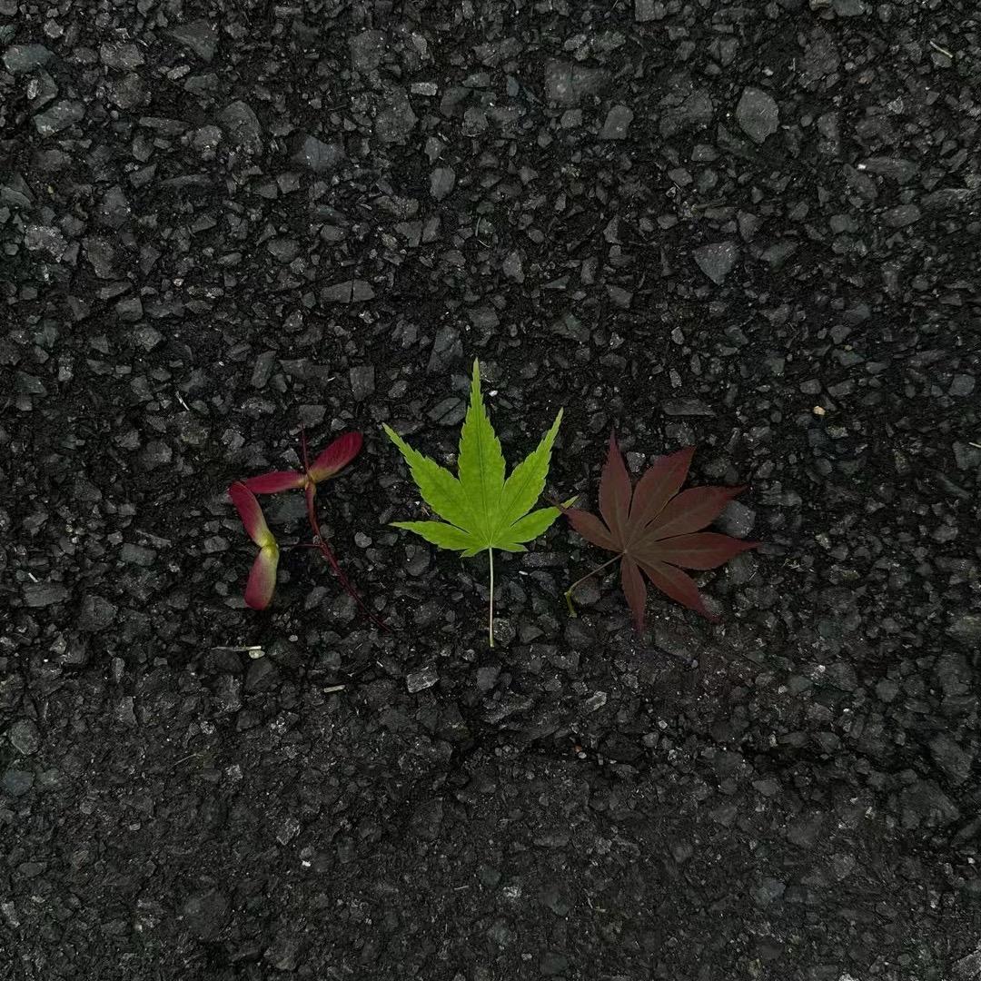 洛 桑