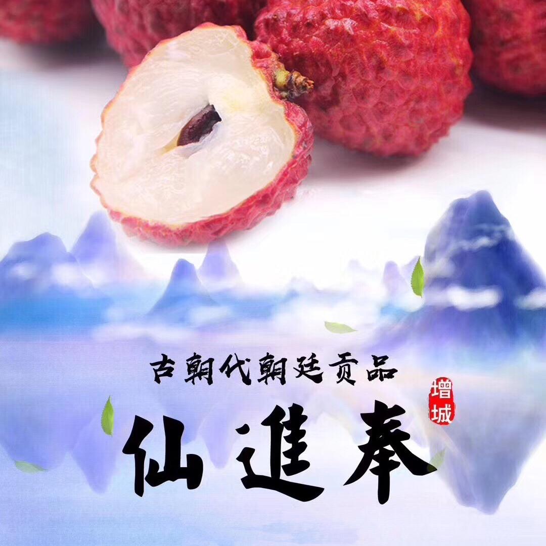 增城荔果园果业