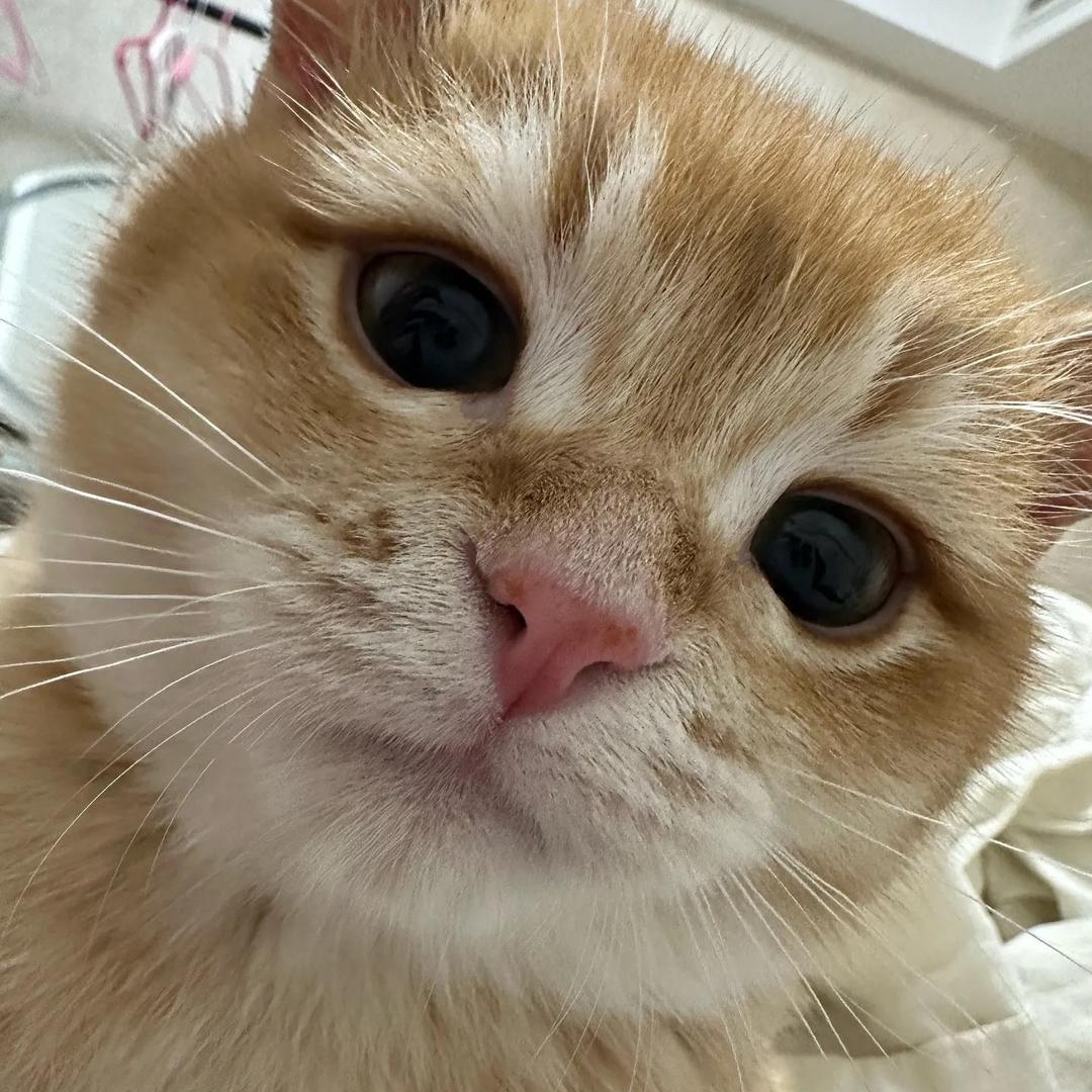 ZZ。