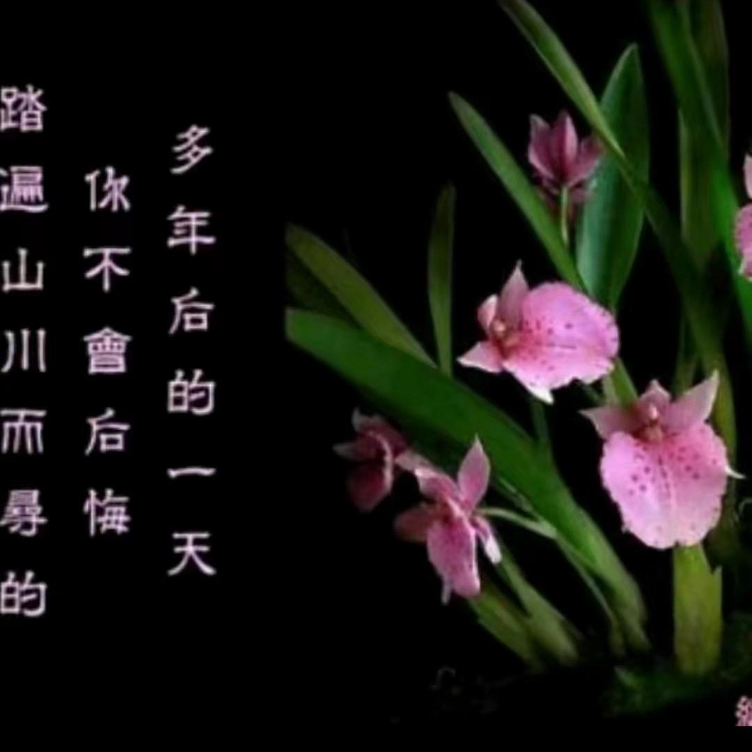 回眸一笑、拒私聊，