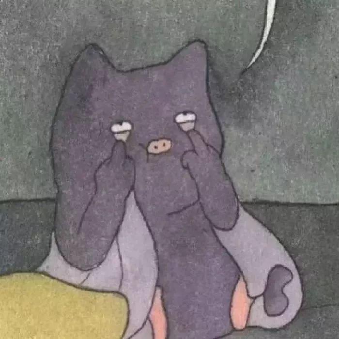 爱打游戏的猫哆哩