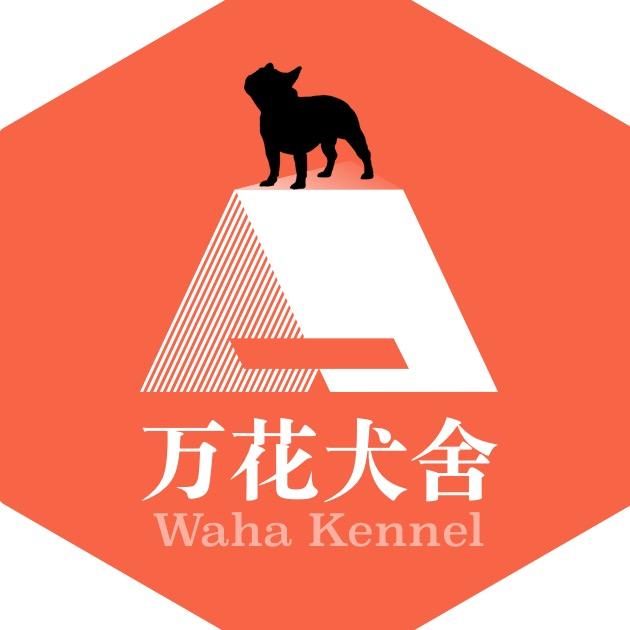 万花法斗
