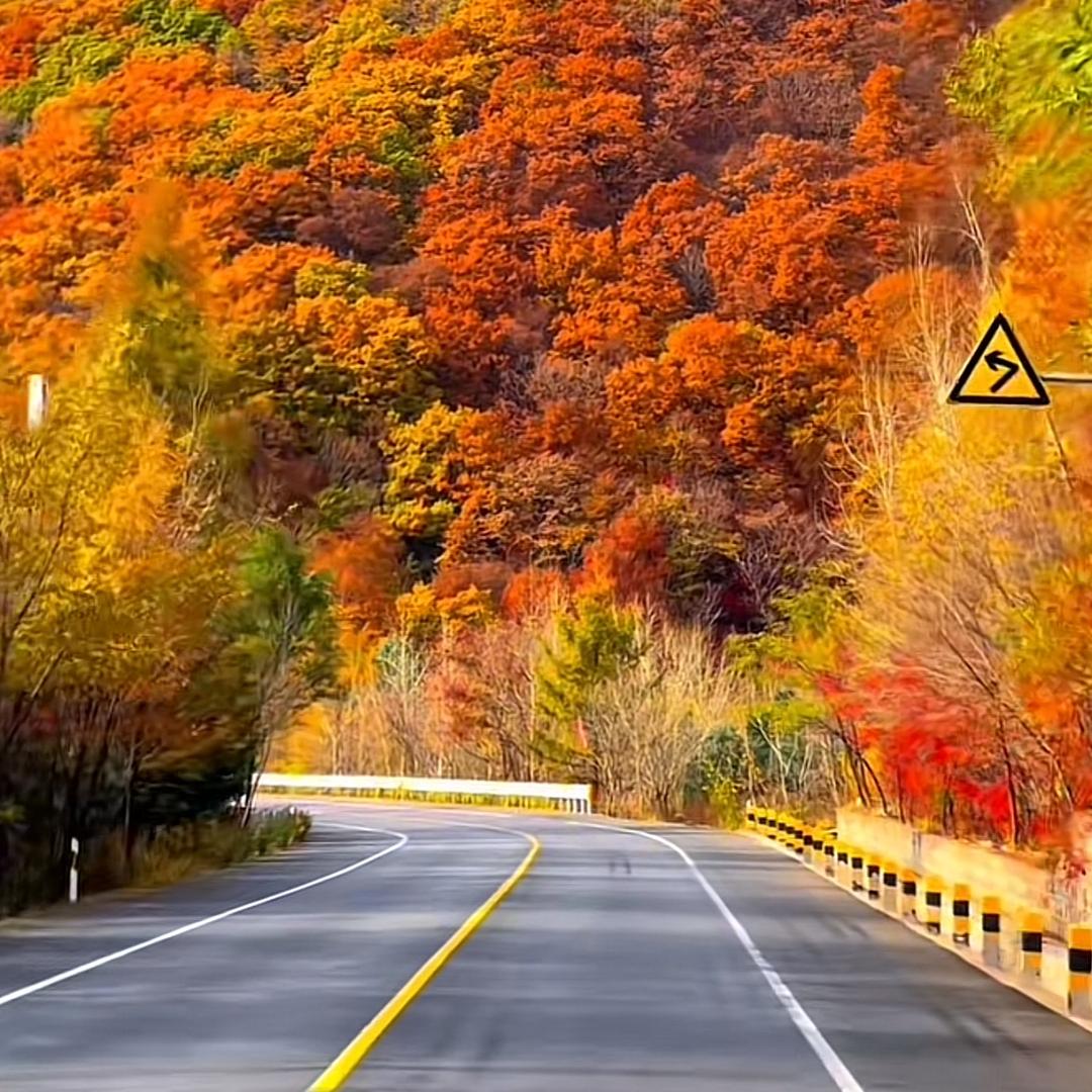 甜妹家生鲜极速达