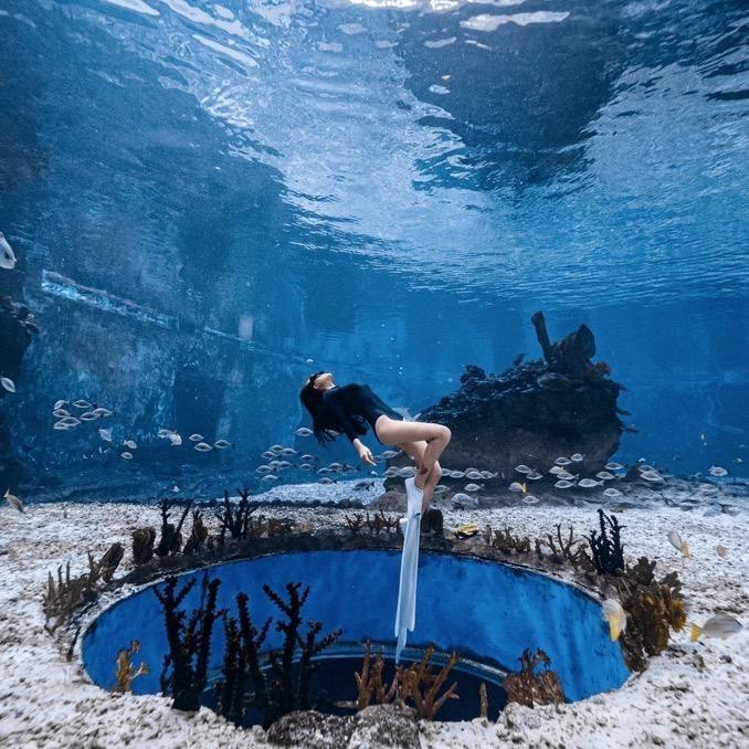 人鱼娃娃菜🧜🏻‍♀️