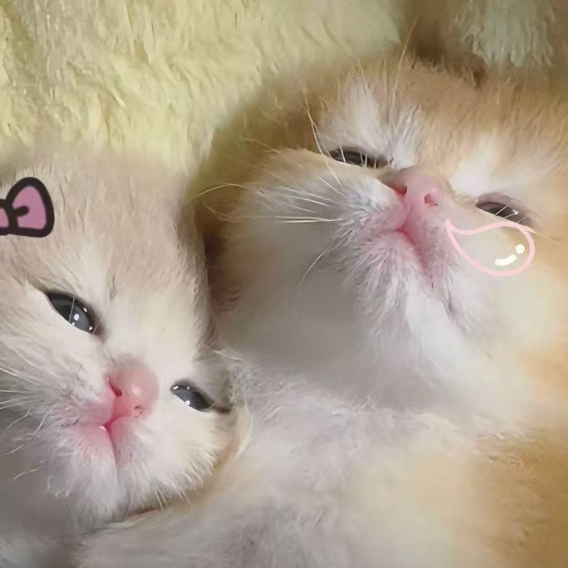 柚遇