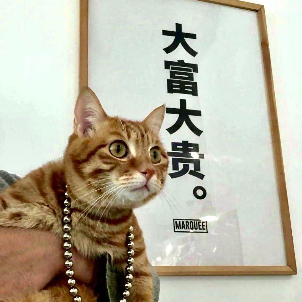 大富大贵