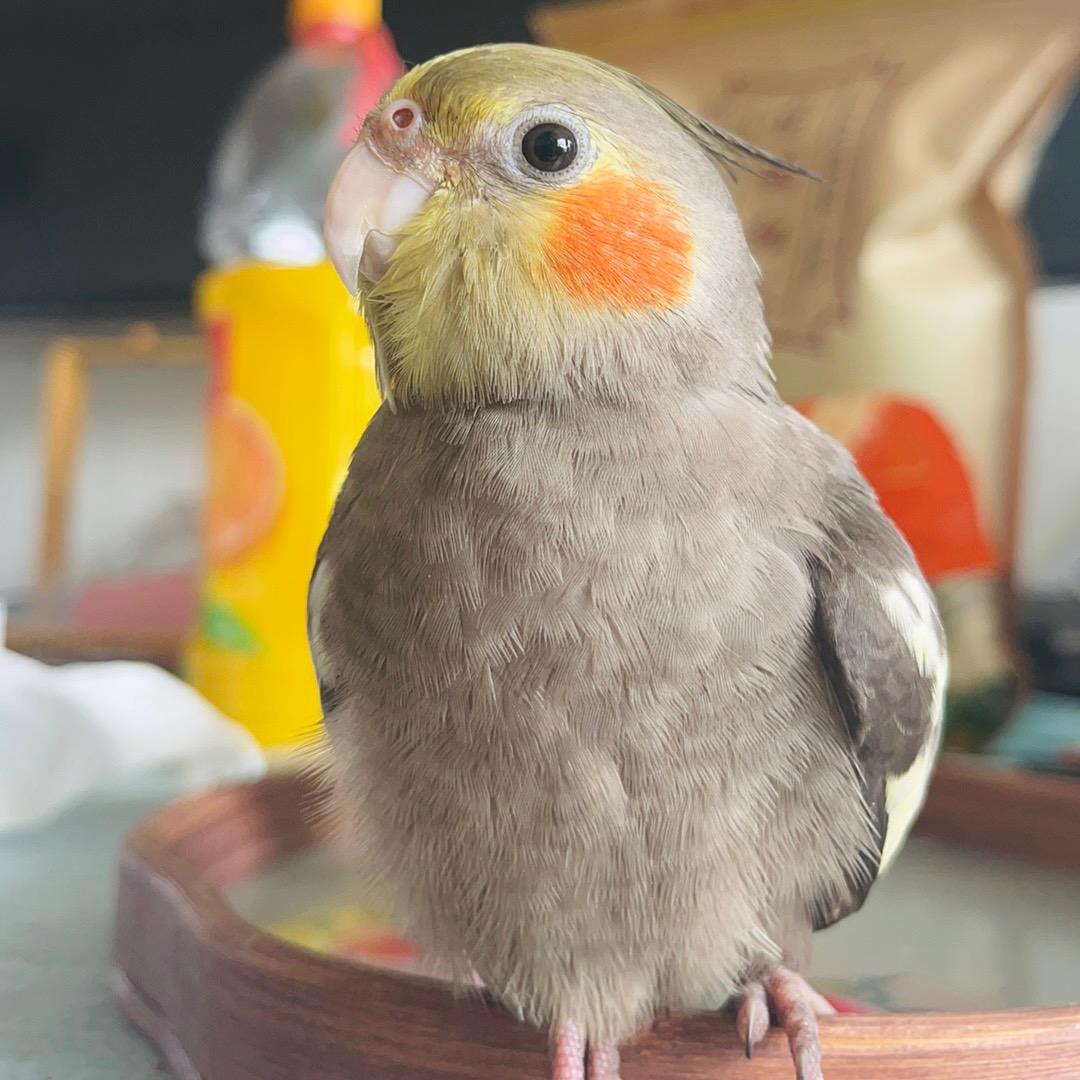 ⛈️徐徐宝贝呀🫧