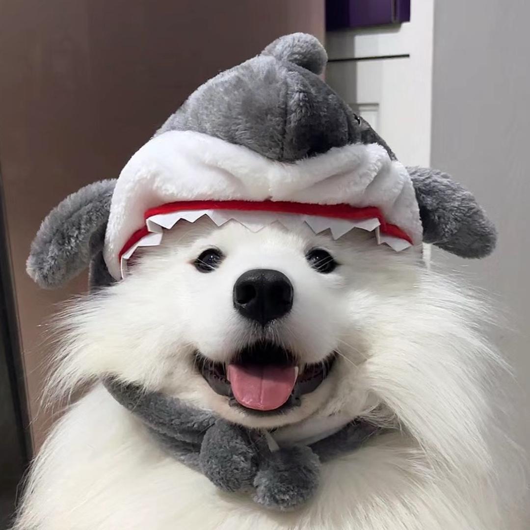 脆脆鲨（见过莎头版