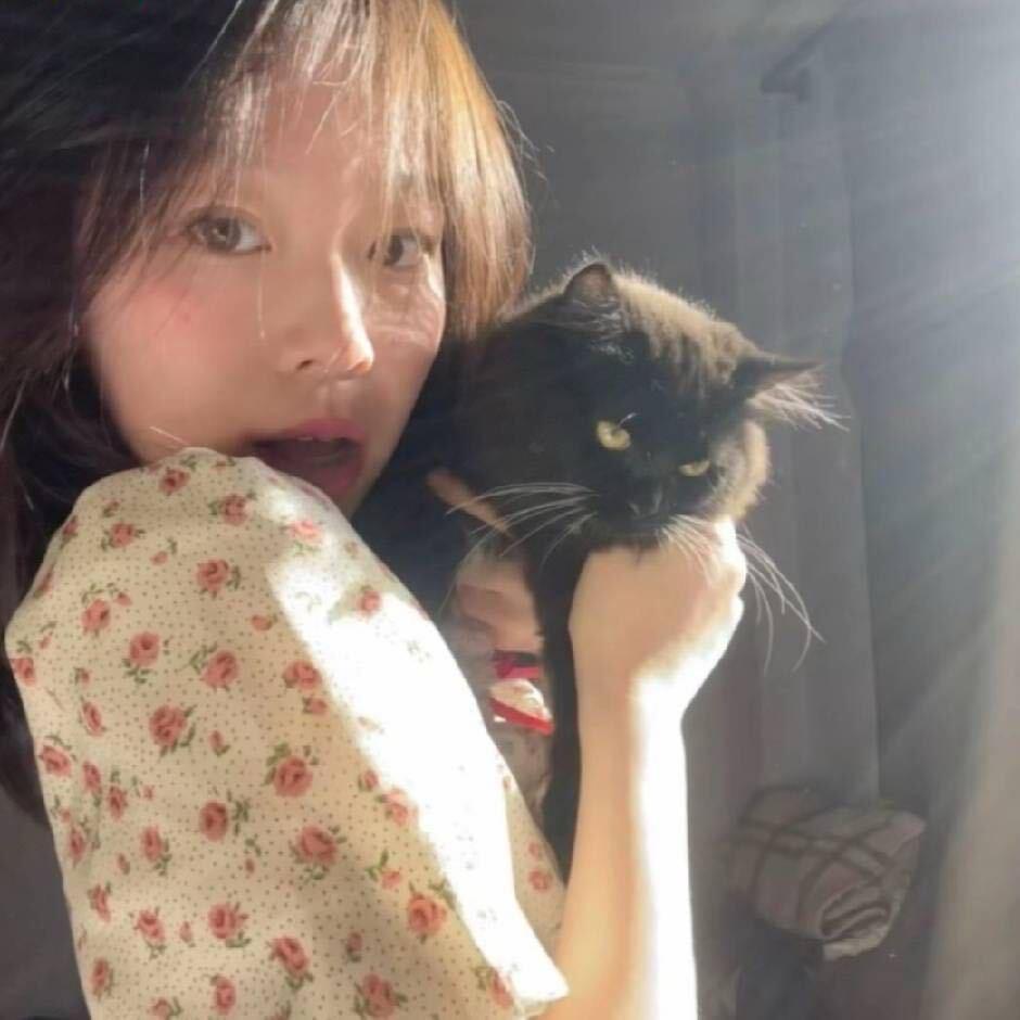 秋上晚