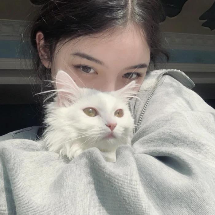 妮妮汽车好物