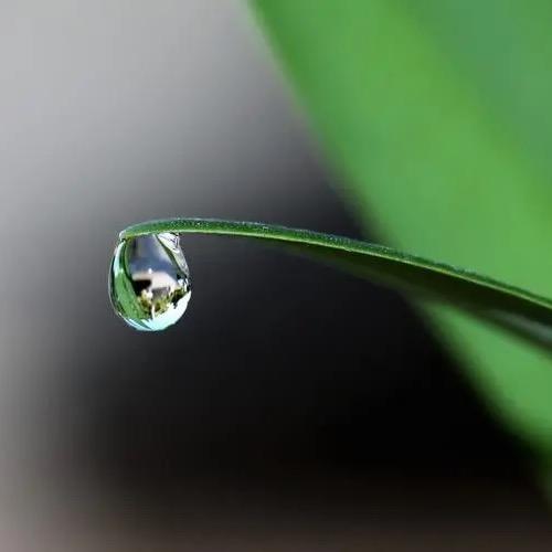 一滴水💧 ²º²⁴🕊