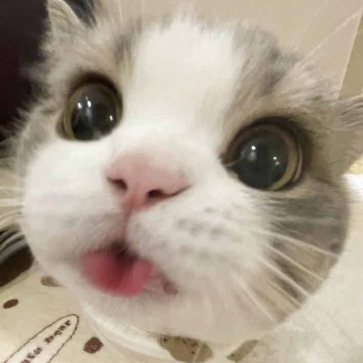 栗子糕^