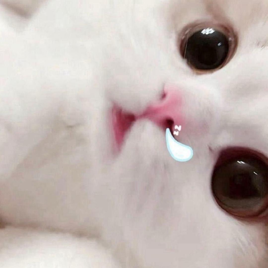 超奶的龙