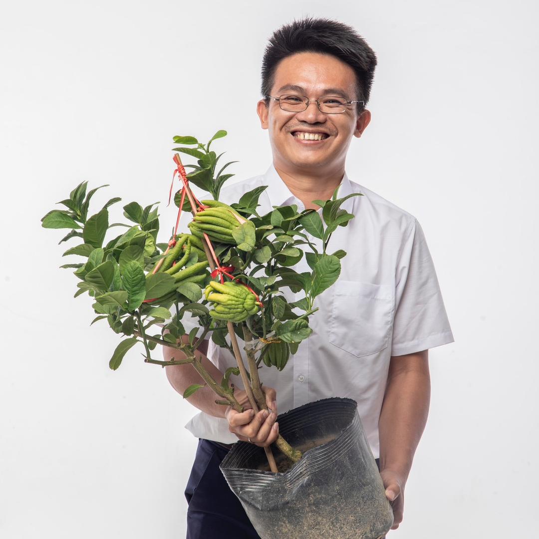 漳州恒兴果苗哥超市（王银辉）