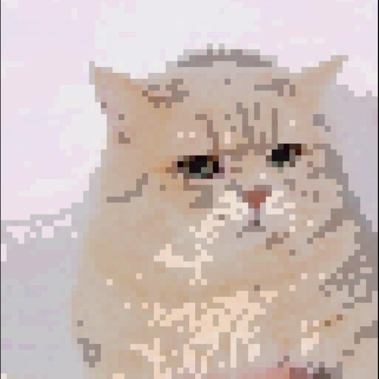 飞猪不会飞