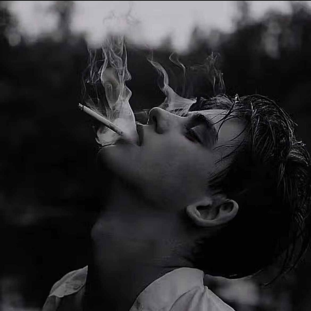 穆府的张天启头像