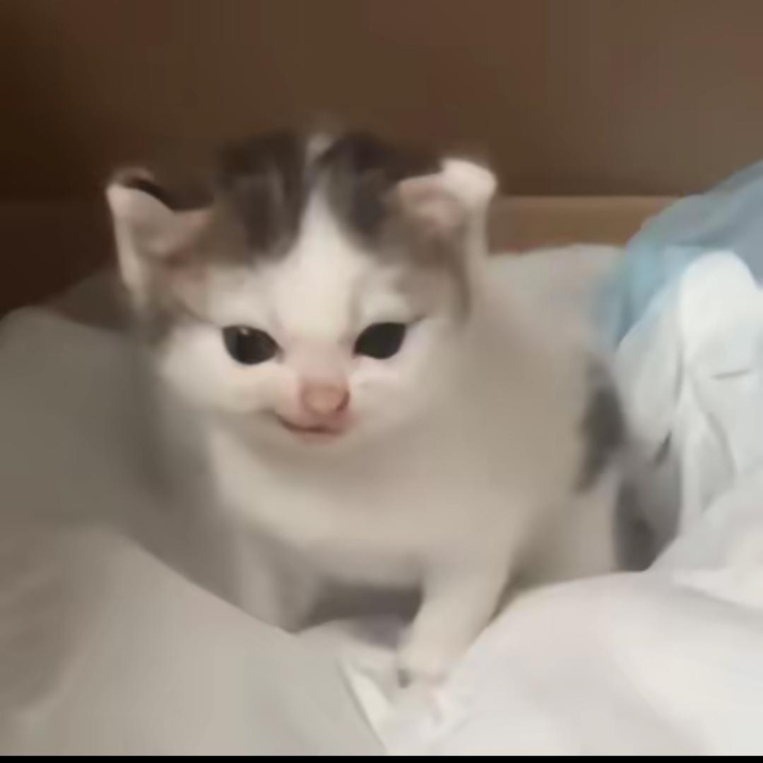 子钰