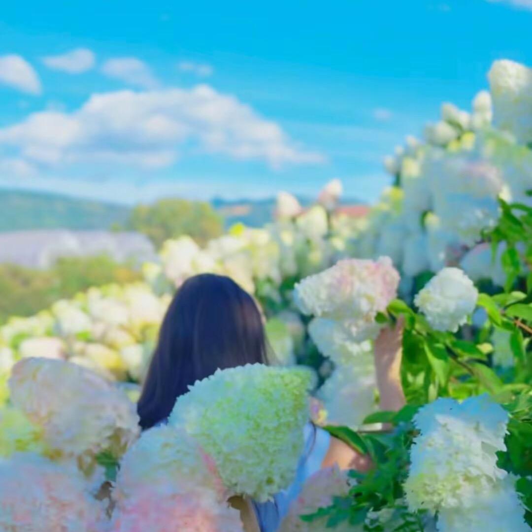 年轻向上（宝妈姐妹聊天室）