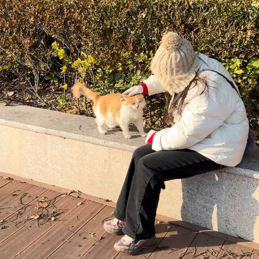 喵翠花呀
